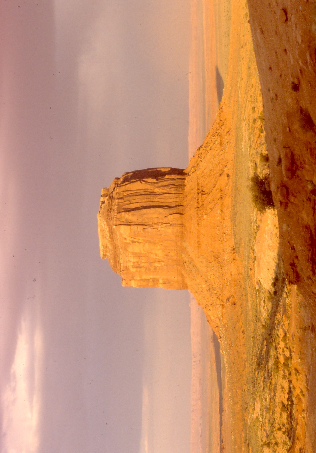 USA 1979/80